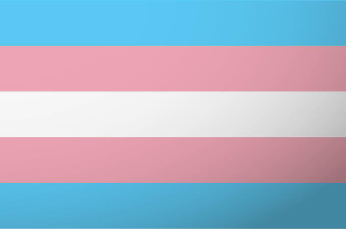 Trans Flag Trans Flag